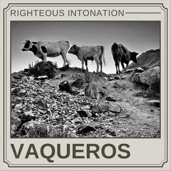 Cover art for Vaqueros